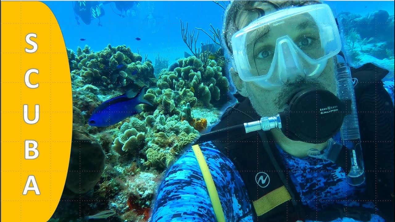 SCUBA Diving in Cozumel Mexico | Shore and Drift Dives - YouTube