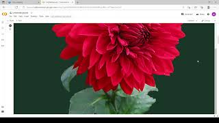 LGM VIRTUAL INTERNSHIP PROGRAM 2022 [Data Science] BegineerTask3: Image to pencil sketch with python
