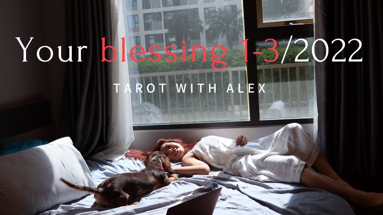 Phước lành 3 tháng  đầu năm của bạn - tarot + thăm #Tarot #congviec #tinhyeu