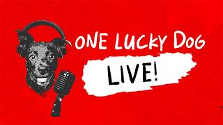 Tom, Scott & Tony Talk WHIPSAWS and Take Calls | 6.10 | One Lucky Dog LIVE!