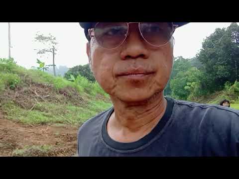 OLAHRAGA PAGI HARI DIPERKEBUNAN SAMBIL MENIKMATI UDARA PAGI. 