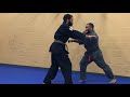TEKIO KENPO -ALTERNATING MACES (Two hand front push