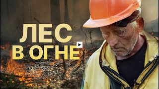 Лесные пожары в Якутии. Съёмочная группа RT — о работе авиалесоохраны
