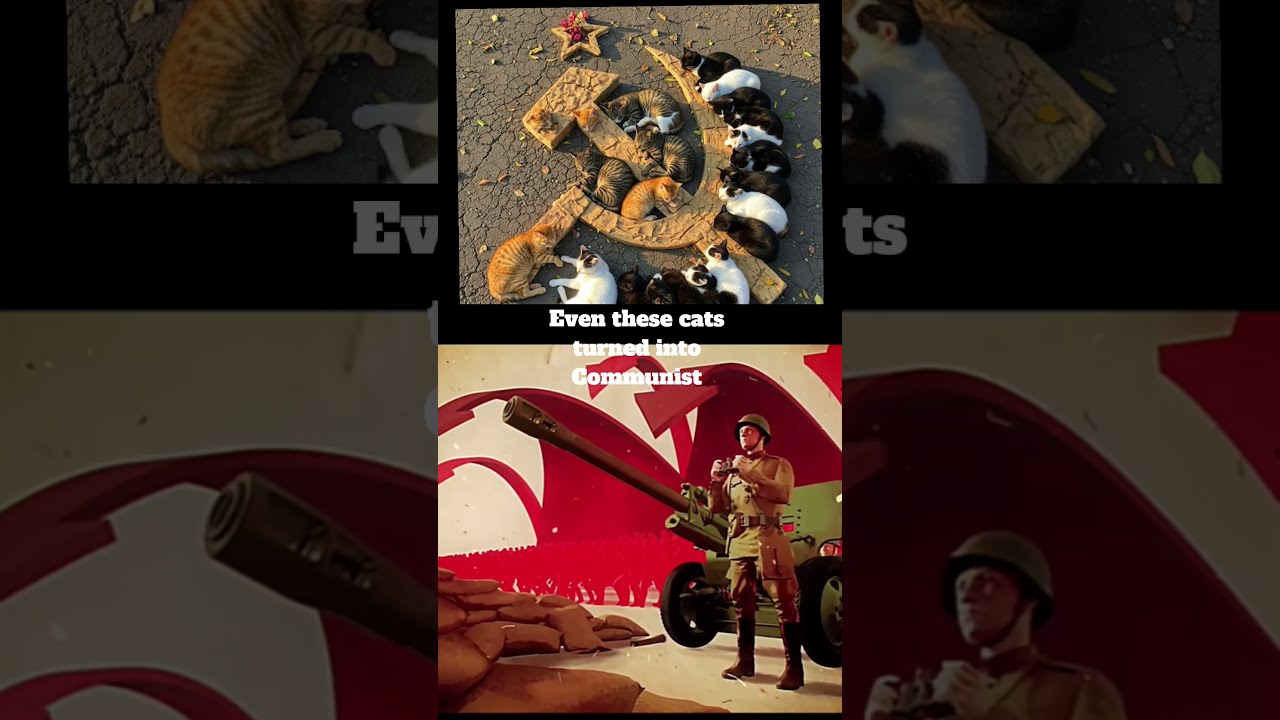 Even These Cats Turned Into Communist Soviet Union Edit Shorts Memes Fypviral Fy Fyp