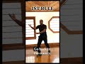 KUNG FU TIPS First Rule of Self Defense Get Out of the Way!