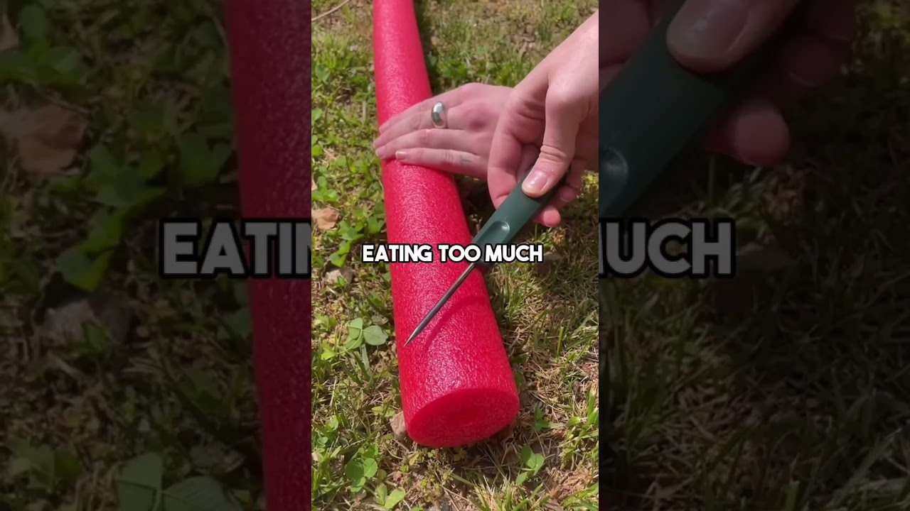 The last one is🤯
-
-
-
👉Follow factsplugg for more daily content👈
👉Follow factsplugg for mo