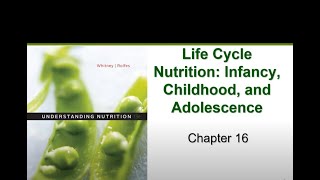 Infants, Childhood, and Adolescence (Chapter 16) screenshot 2