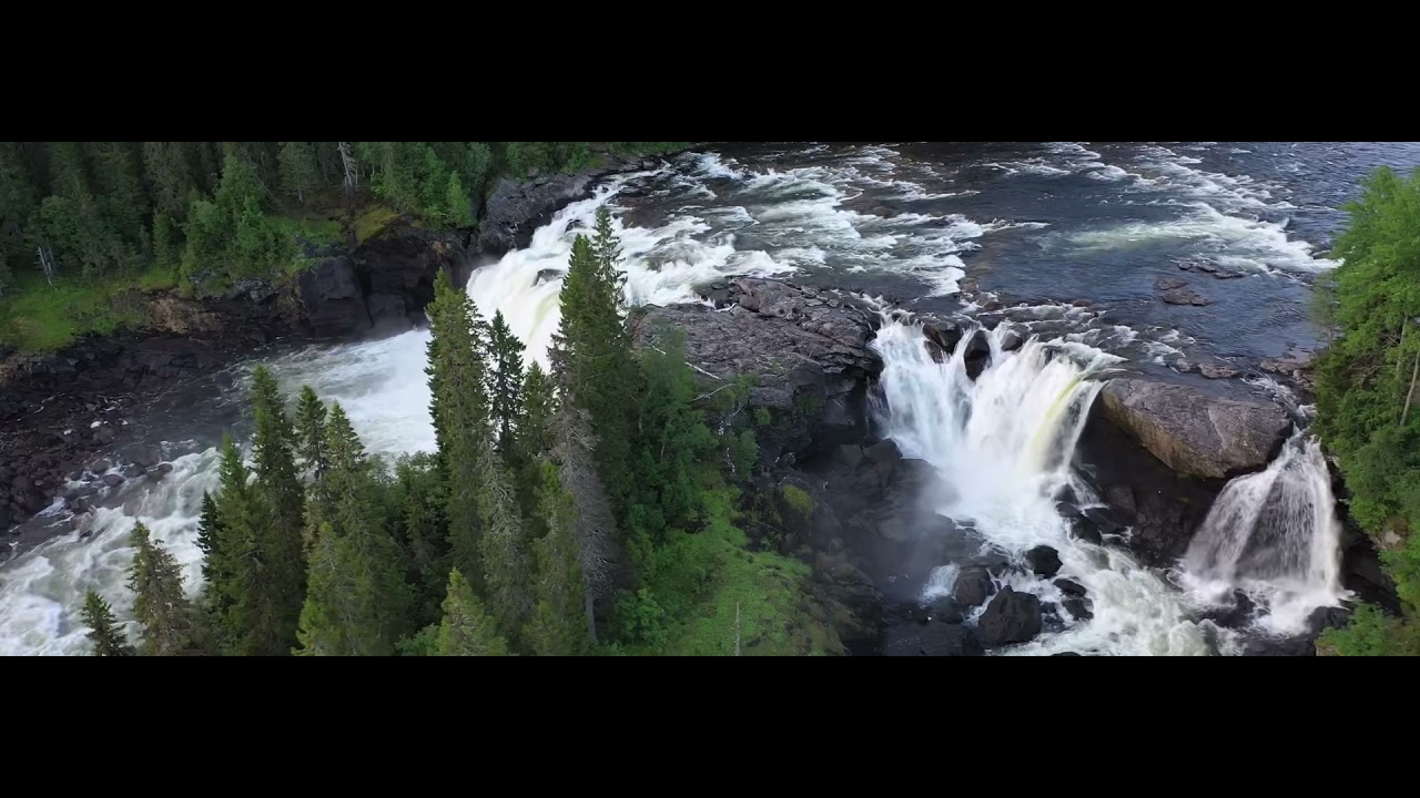 Szűz Szülője Istennek