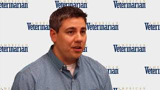 Treating an Animal With Persistent Seizures screenshot 4