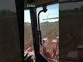 semi de colza 👌 #agriculture #tracteur #reels #shorts #epic #colza #kuhn #masseyferguson