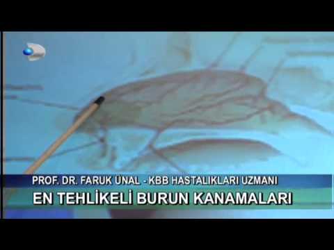 Burun Yapısı Nasıldır?