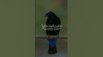 #quranicverse #اكسبلور #قران_كريم #duet #quran #دويتو #لايك #قرآن #حالات_واتس #المنشاوي #آيات #قرآن