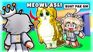 Aku Kasih Meowl Asli Ini Buat Suamiku Tercinta Di Steal A Brainrot
