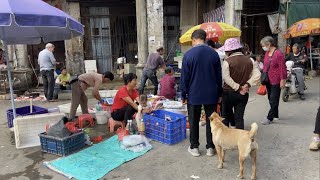 碰巧台山市 Taishan白沙鎮的潮境墟農歷四、九墟日，拍下趕墟的熱鬧場景。一位墟市小販豪邁地稱：民國老宅在廣東以內，台山認第二沒人敢認第一！認同的請點讚！