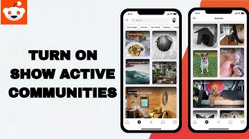 How To Turn On Show Active Communities On Reddit App