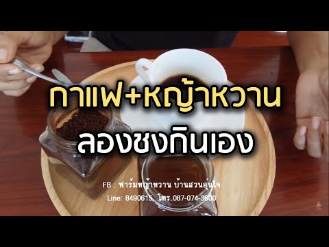 กาแฟ+หญ้าหวาน ทดแทนน้ำตาล 0 แคลลอรี่