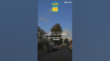 تلاوة للشيخ سعد الغامدي ماتيسر من سورة الروم