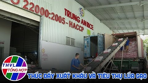 Tổng sản lượng tiêu thụ gạo nội địa bao nhiêu năm 2024