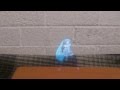 ( PHYON TV ) Holograma de Hatsune Miku MMD
