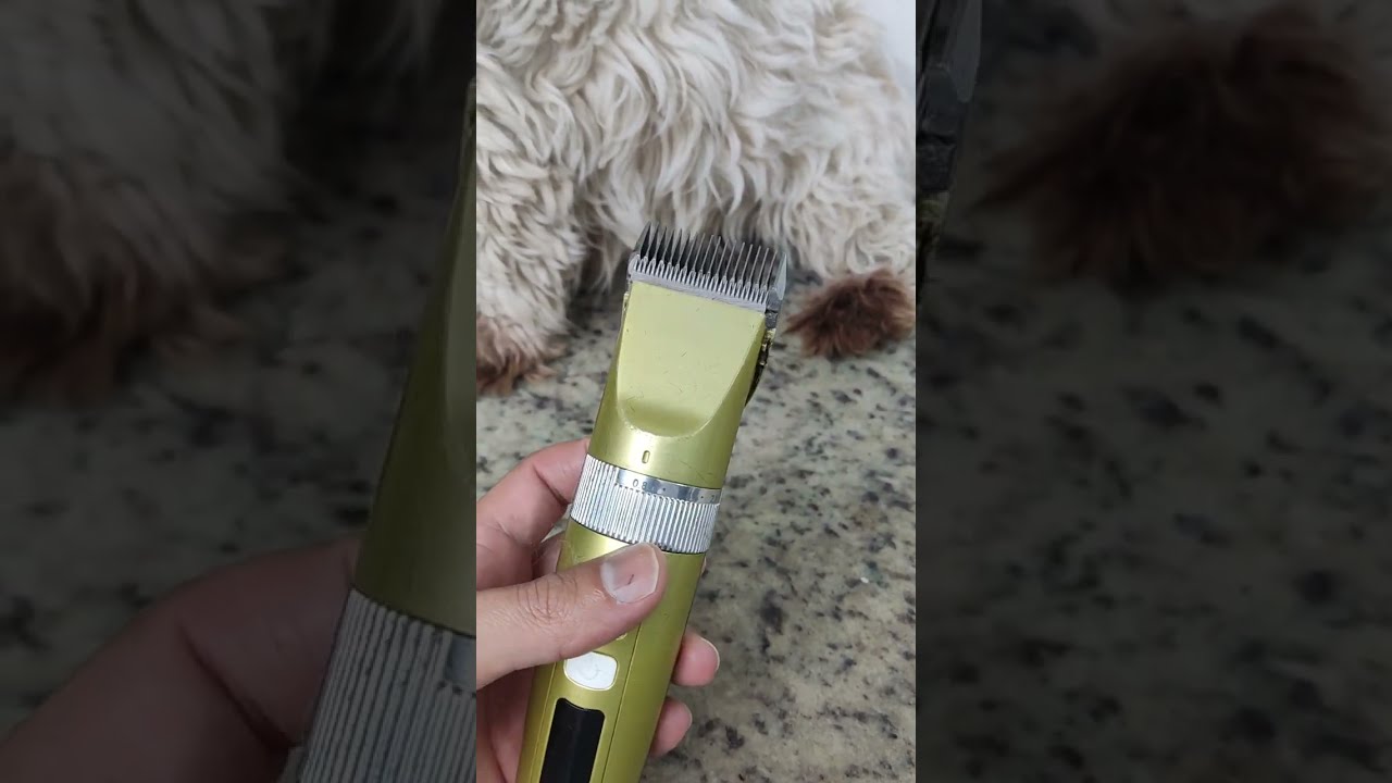 Máquina Corta Pelo Silenciosa Waterproof Familiar - Mundo Amable