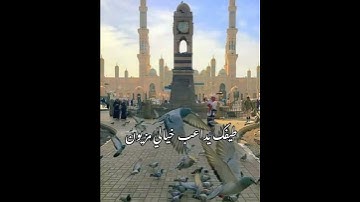 Thumbnail of اناشيد دينيه تفداك عيني ومالي أمي اناشيد دينيه ستوريات دينيه🌺🌺