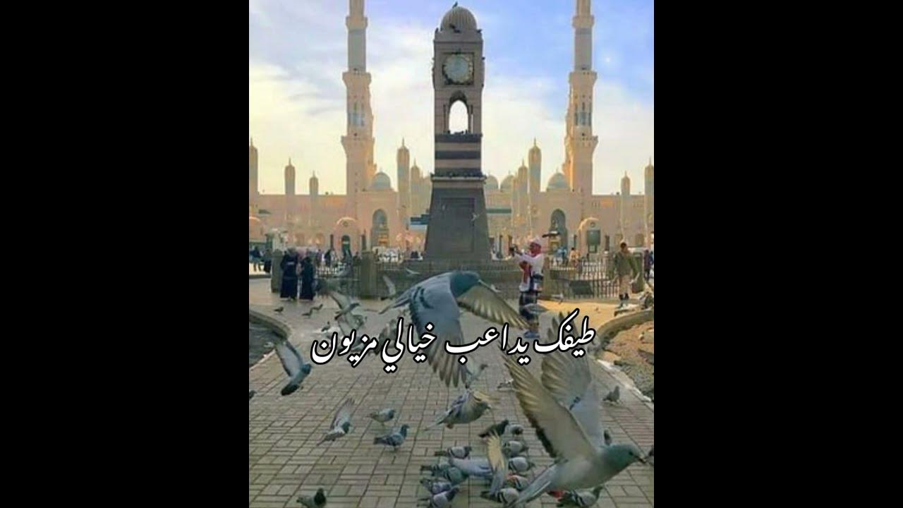 اناشيد دينيه تفداك عيني ومالي أمي اناشيد دينيه ستوريات دينيه🌺🌺