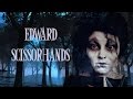 Эдвард Руки-Ножницы / Edward Scissorhands