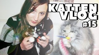 UPDATE en Spelen! - Kattenvlog #15
mij kan je verder nog volgen op:
http://www.twitter.com/missrevex
GMR Merchandise:
http://www.gmrshop.spreadshirt.nl
Hoi en welkom op mijn kanaal GamingmetReve!
Op dit kanaal ga je meerdere game videos zien, vooral Minecraft, maar ook LoL streams, CoD en veel meer! :)
Afspeellijsten:
Wie is de mol: http://bit.ly/18vZb47
CollectorCraft met David: http://bit.ly/19bs5Ks
Kingdom elementos: http://bit.ly/19bs9tC
Community Craft: http://bit.ly/1krMqN8
Custom Maps: http://bit.ly/J5X6G3
Vergeet niet te abonneren, te liken en te favorieten! Daarmee steun je mij heel erg ^^
Fan Mail:
Postbus 130
3440AC Woerden UPDATE en Spelen! - Kattenvlog #15
