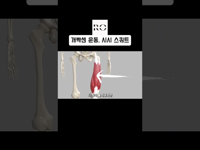개빡센 운동, 시시 스쿼트