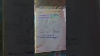 class 9th study vlog cbse board notes science exploration #scienceexploration #notes #cbse #class9