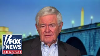 The problem for Biden’s re-election effort is ‘reality’: Newt Gingrich