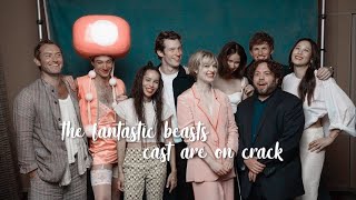 the fantastic beasts cast are on crack...