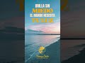 FRASES DEL DIA BRILLA SIN MIEDO