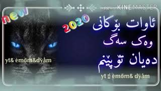 ئاوات بۆکانی 2020(وەک سەگ دەیان تۆپێنم )Awat bokani Taza