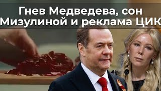 Гнев Медведева, Сон Мизулиной И Реклама Цик