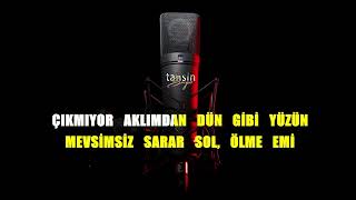 Aysel Yakupoğlu - Gülme Emi / Karaoke / Md Altyapı / Cover / Lyrics / HQ Resimi