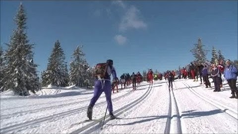MS, the Vikings and Nordic Skiing needs your help at Indiegogo