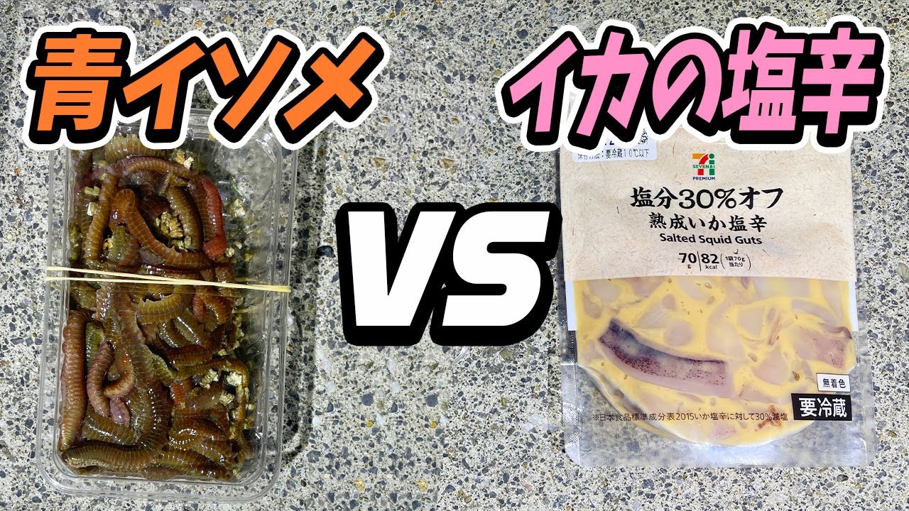 名勝負 夜釣り最強餌はどっちだ 青イソメ Vs イカの塩辛 Youtube