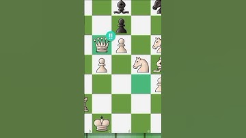 Opera Mate #chess #brilliantmove