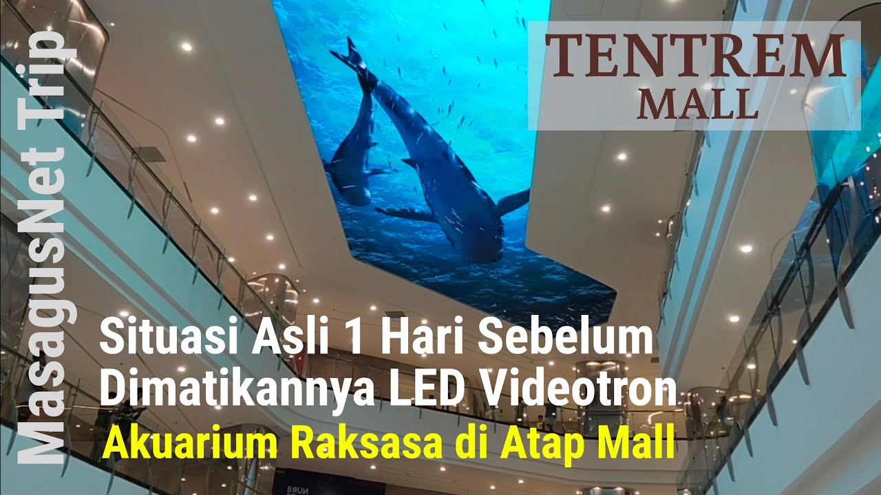 Mall Tentrem Semarang Sehari Sebelum Dimatikannya Led Videotron Akuarium Raksasa Di Atap Mall Youtube