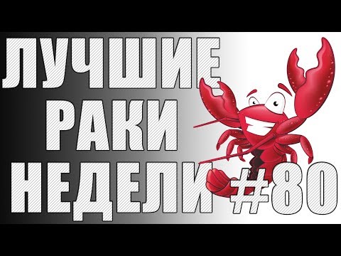 Видео: ЛРН выпуск №80. СНАЙПЕРСКИЙ ЛАЙФХАК и РАКООБРАЗНОЕ АССОРТИ [Лучшие Раки Недели]