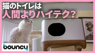 猫のトイレもハイテクな時代。ゴミ袋を取り出すだけでOKな猫用トイレ「iKuddle Auto-Pack Litter Box」