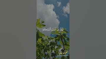 الله نور السموات والأرض #سورة_النور#القرآن_الكريم #ياسر_الدوسري#اكسبلور#راحة_نفسية#لايك #تلاوة_خاشعة