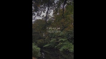 سورة الكوثر | القارئ عبدالرحمن مسعد 🤍