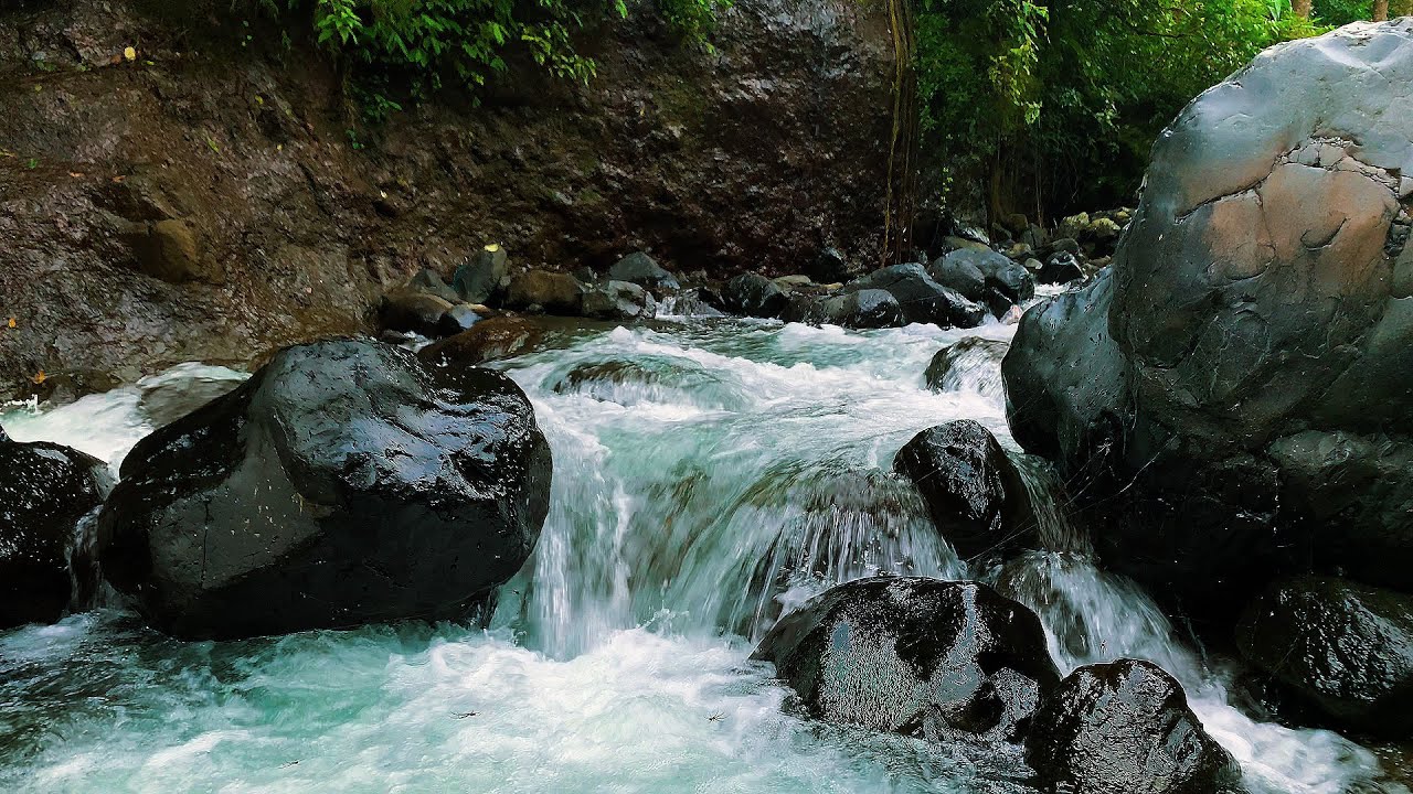 Calming Forest Ambience - River Flowing Birds Chirping in Hidden Forest Ambience for Rest, Medicine