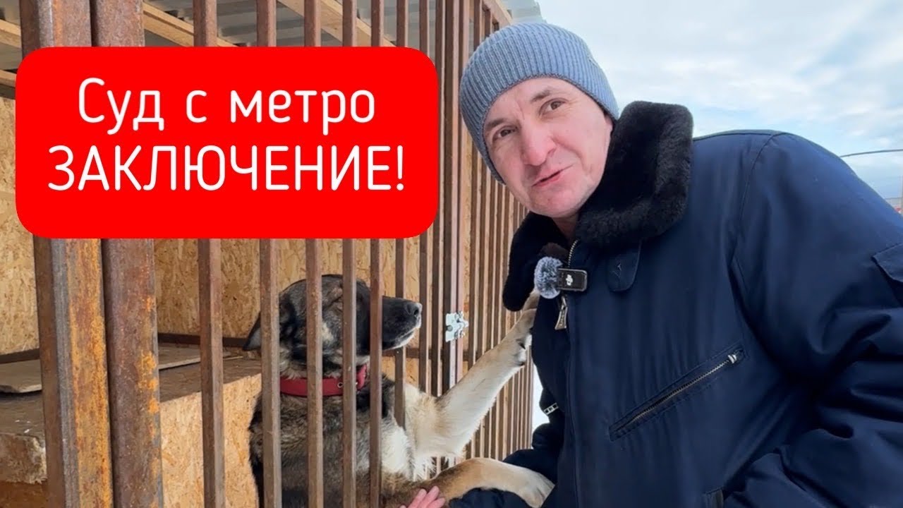 СУД С МЕТРО - ЗАКЛЮЧЕНИЕ