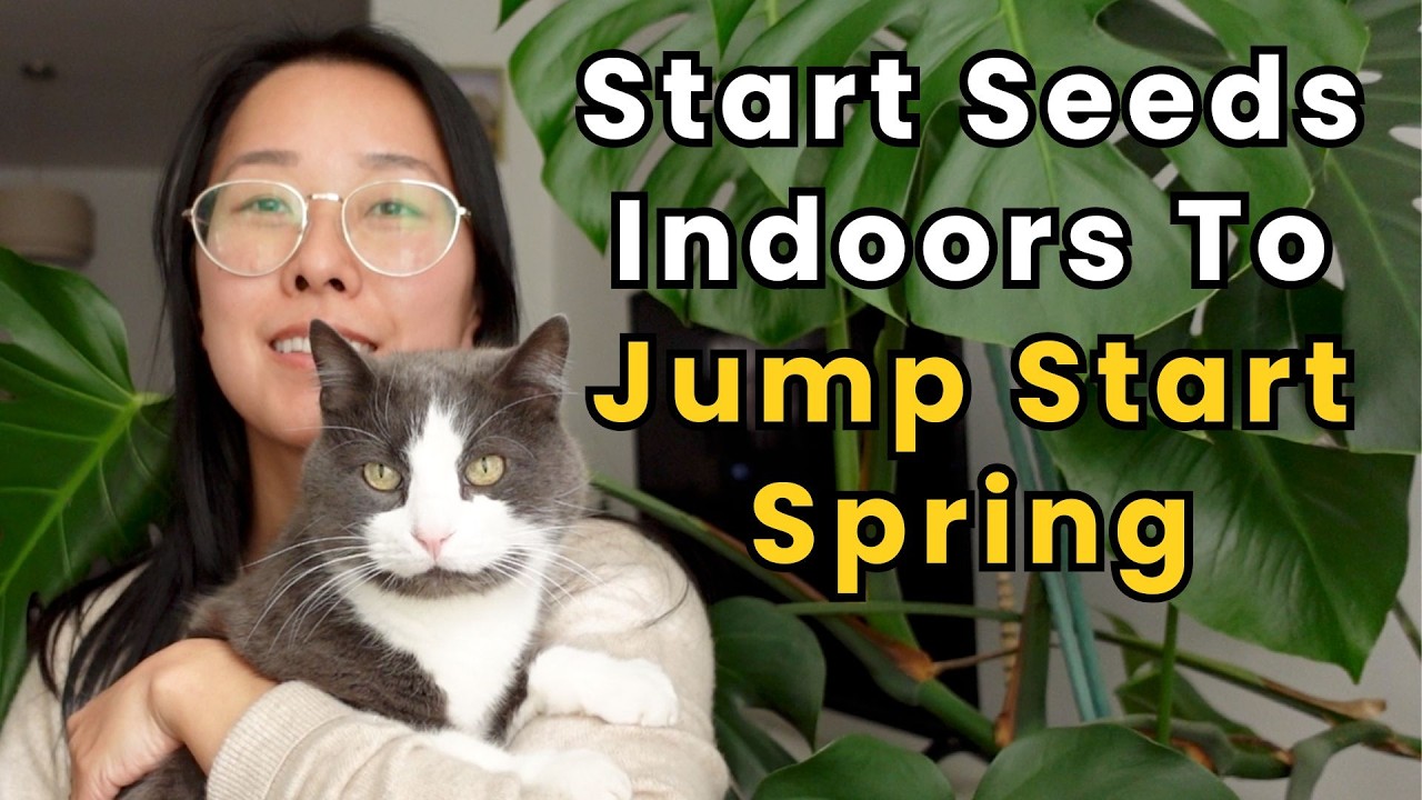 Start Seeds Indoors to Overcome Shaded Gardens