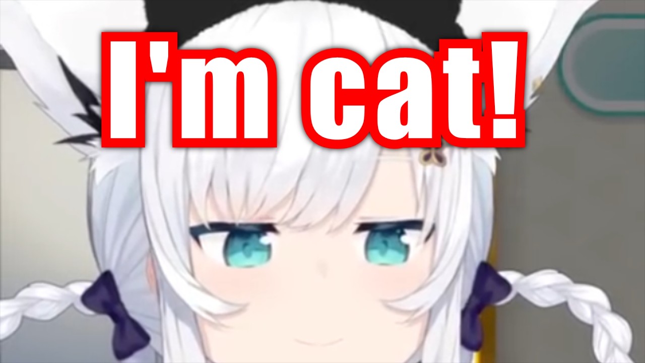 Fubuki Is Cat Not Fox【Hololive】