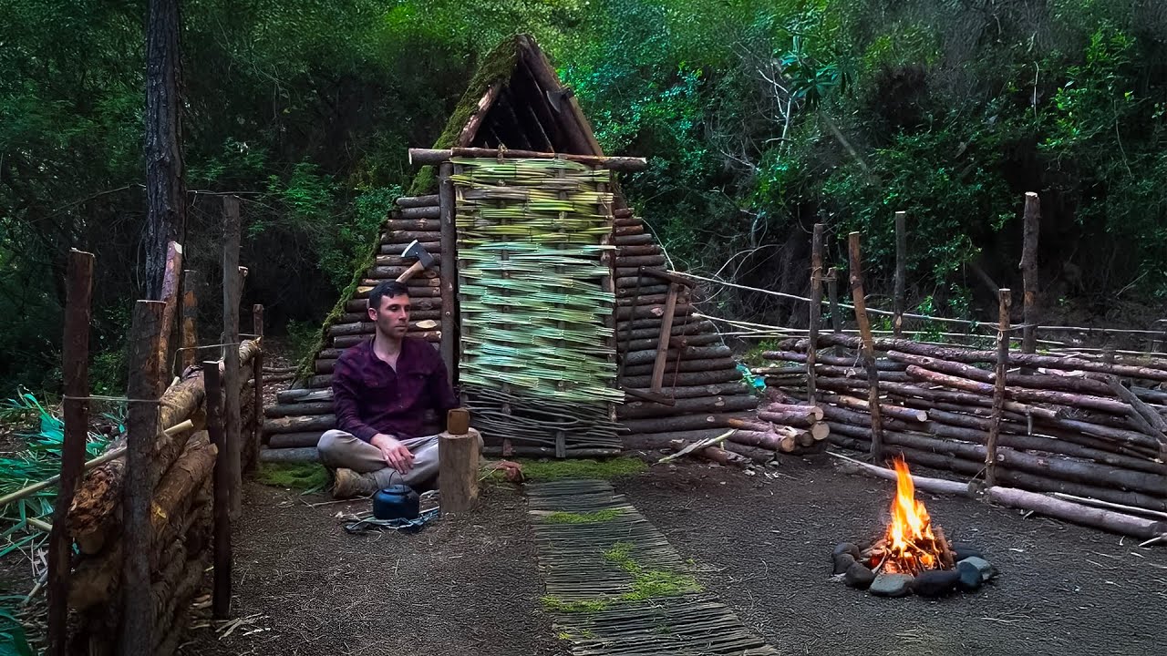 3 Days Solo Bushcraft Camping in the Forest. Building Complate Log ...