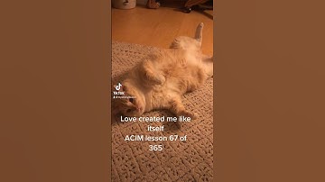 A Course in Miracles Lesson 67 of 365 #acim #love #daily #practice #cats